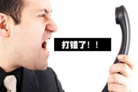 东西湖融资清欠服务